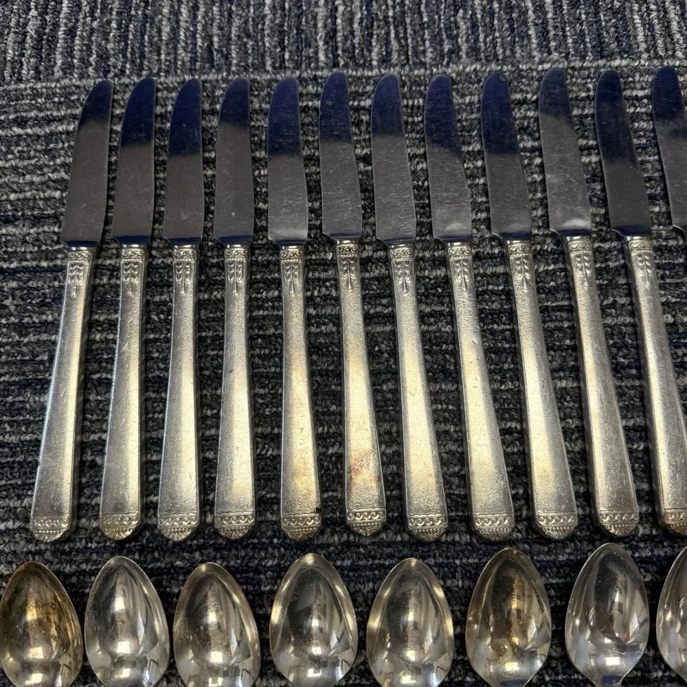 48 Pcs Oneida Surf Club Silver Plate 1881 Rogers Ltd Silverware Flatware Vintage